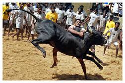 படம்