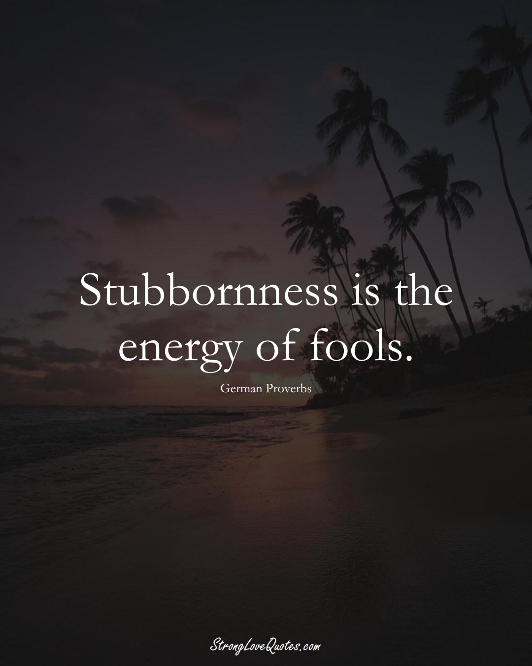 Stubbornness is the energy of fools. (German Sayings);  #EuropeanSayings