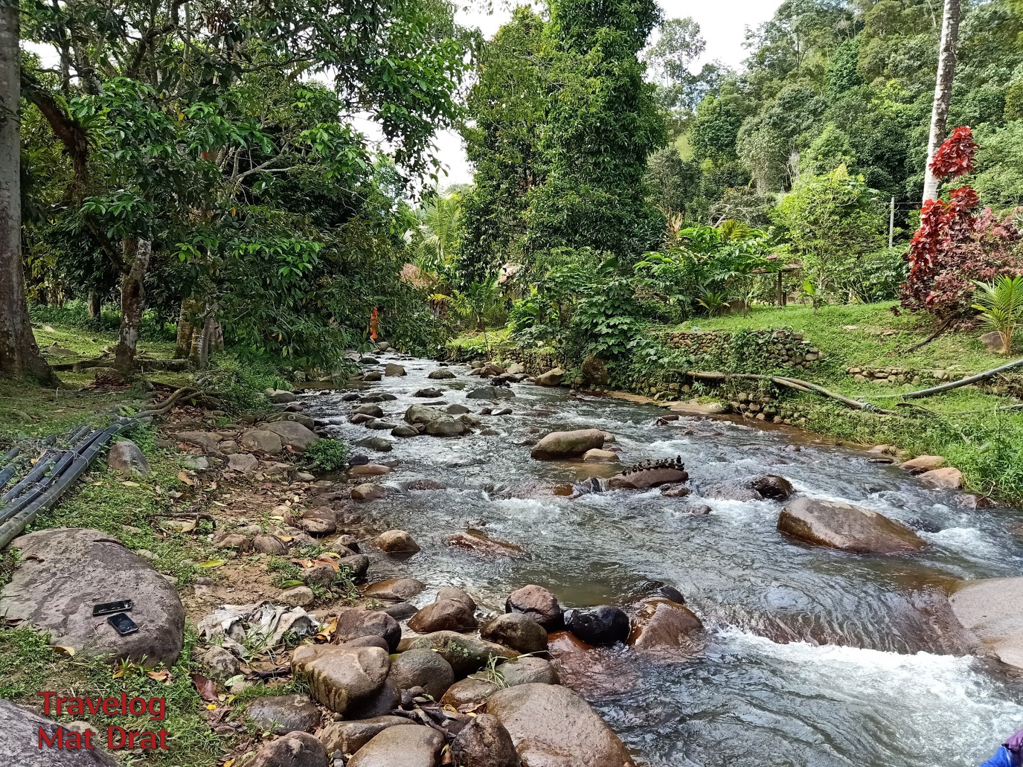 MAT DRAT: Damai Arcadia Resort - Homestay Janda Baik Tepi Sungai