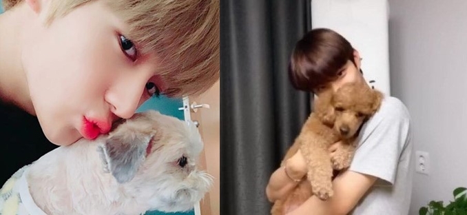 어제자 댕댕이랑 만난 인간 댕댕이 남돌 | 인스티즈