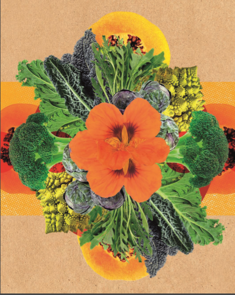 nutrients,nutrient,marijuana nutrients,hydroponic nutrients,weed nutrients,plant nutrients,nutrition,nutrients in hindi,organic nutrients,advanced nutrients,cannabis nutrients,6 essential nutrients,nutrients and their functions,7 nutrients,main nutrients,coco nutrients,remo nutrients,micro nutrients,macro nutrients,nutrient names,nutrients in food,mixing nutrients,nutrient dense,veg nutrients weed,foxfarm nutrients,what are nutrients