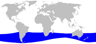 Uzun dişli gagalı balinasının yayılım haritası