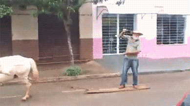l-284654.gif