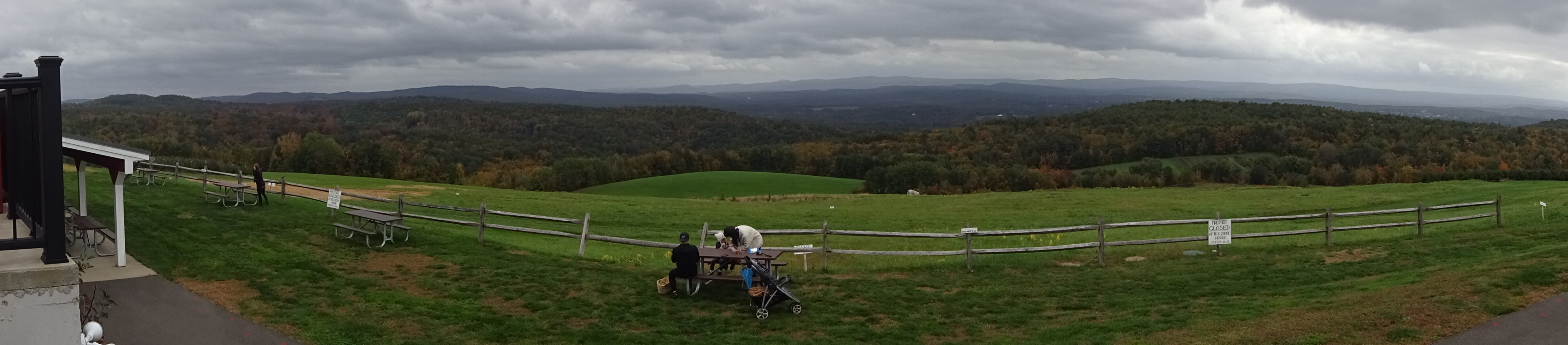 Steve's Yay! Adventure! Visit to Apex Orchards