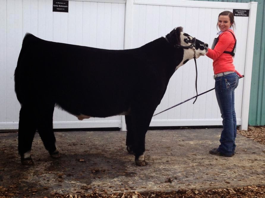 Trausch Farms Tipton Iowa Show