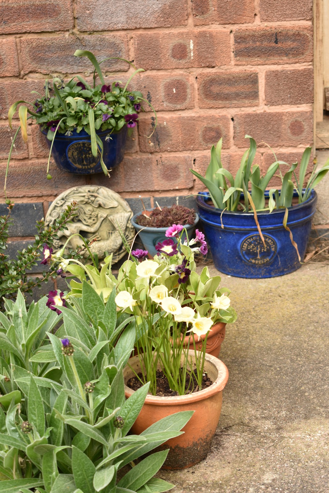 Landscape Design 5 Easy Steps To Growing The Best Hedge