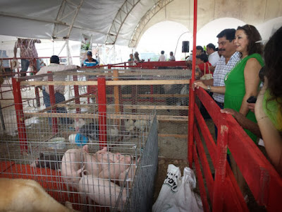 feria ganadera campeche 2017