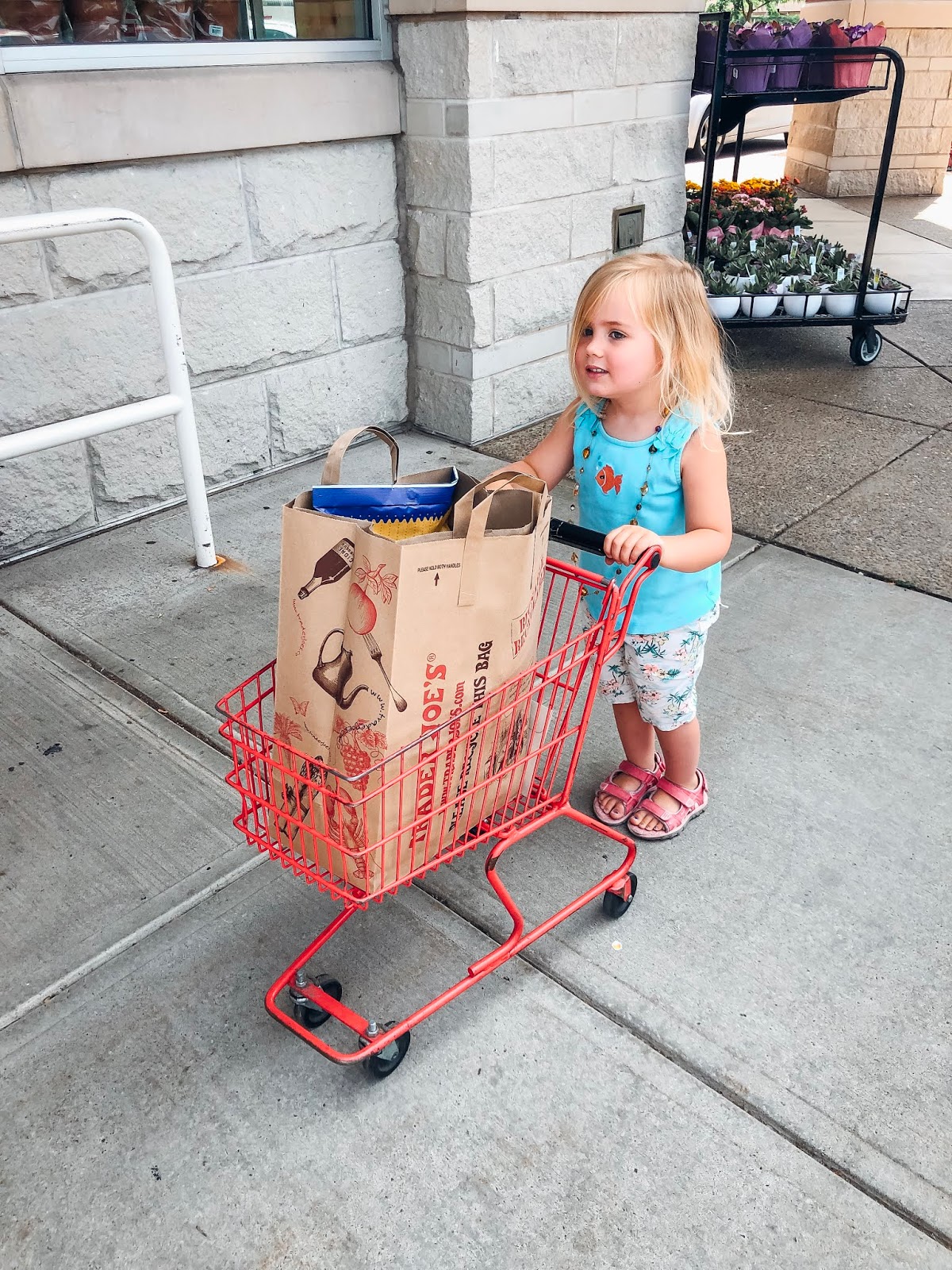 Trader Joe's Grocery Shopping Haul: How We Spent $75