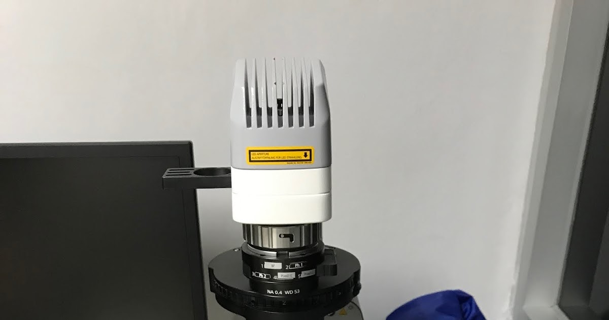 ZEISS ZEN lite Free Imaging Software for Microscopy