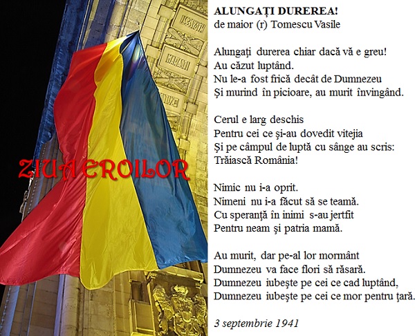 ROMÂNIA APĂRĂ-ŢI SUFLETUL - Pagina 14 Ziua%2Beroilor1