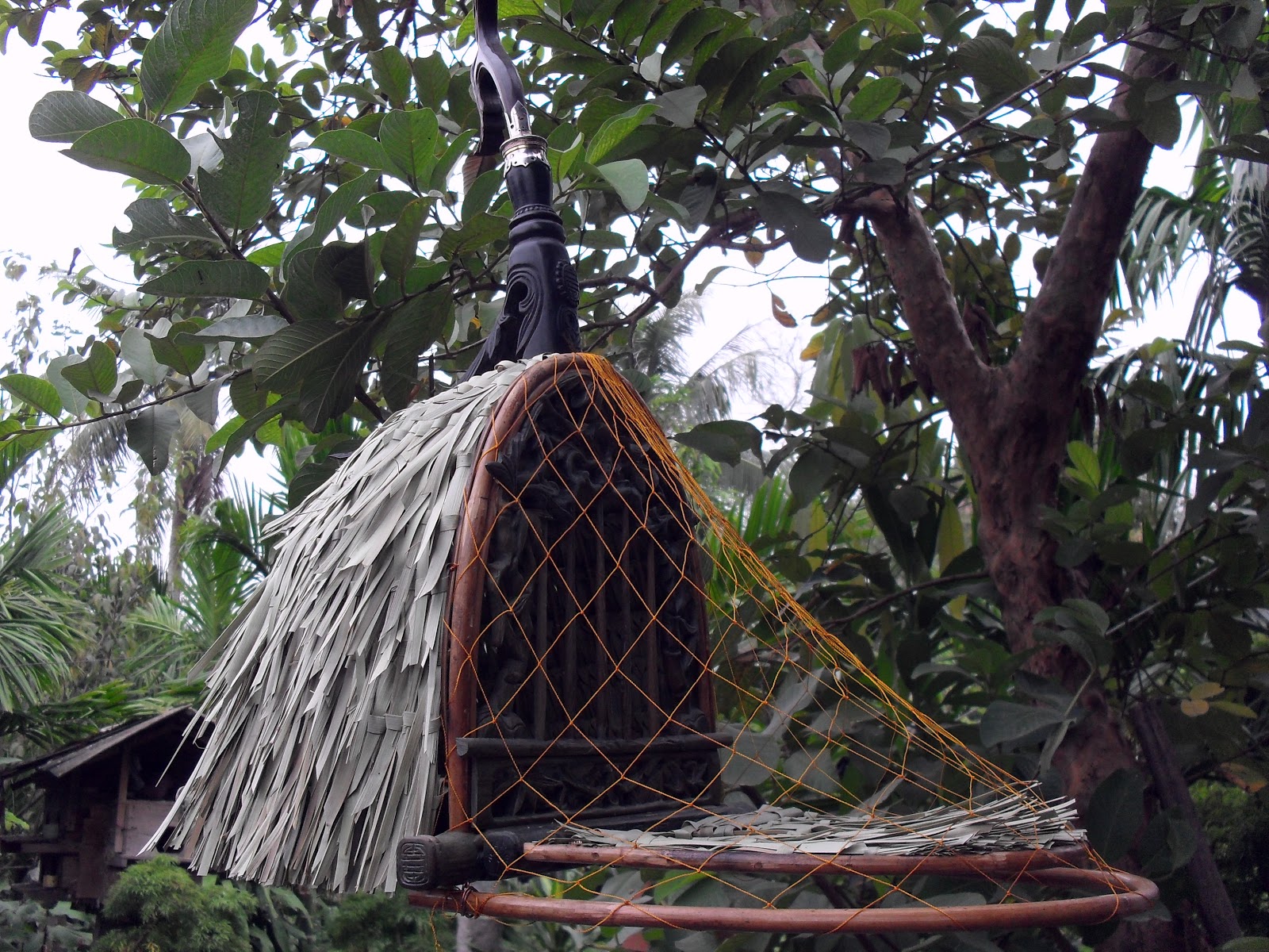 SDC13553.JPG