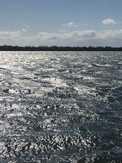 Official Island Packet Yacht Owners Association