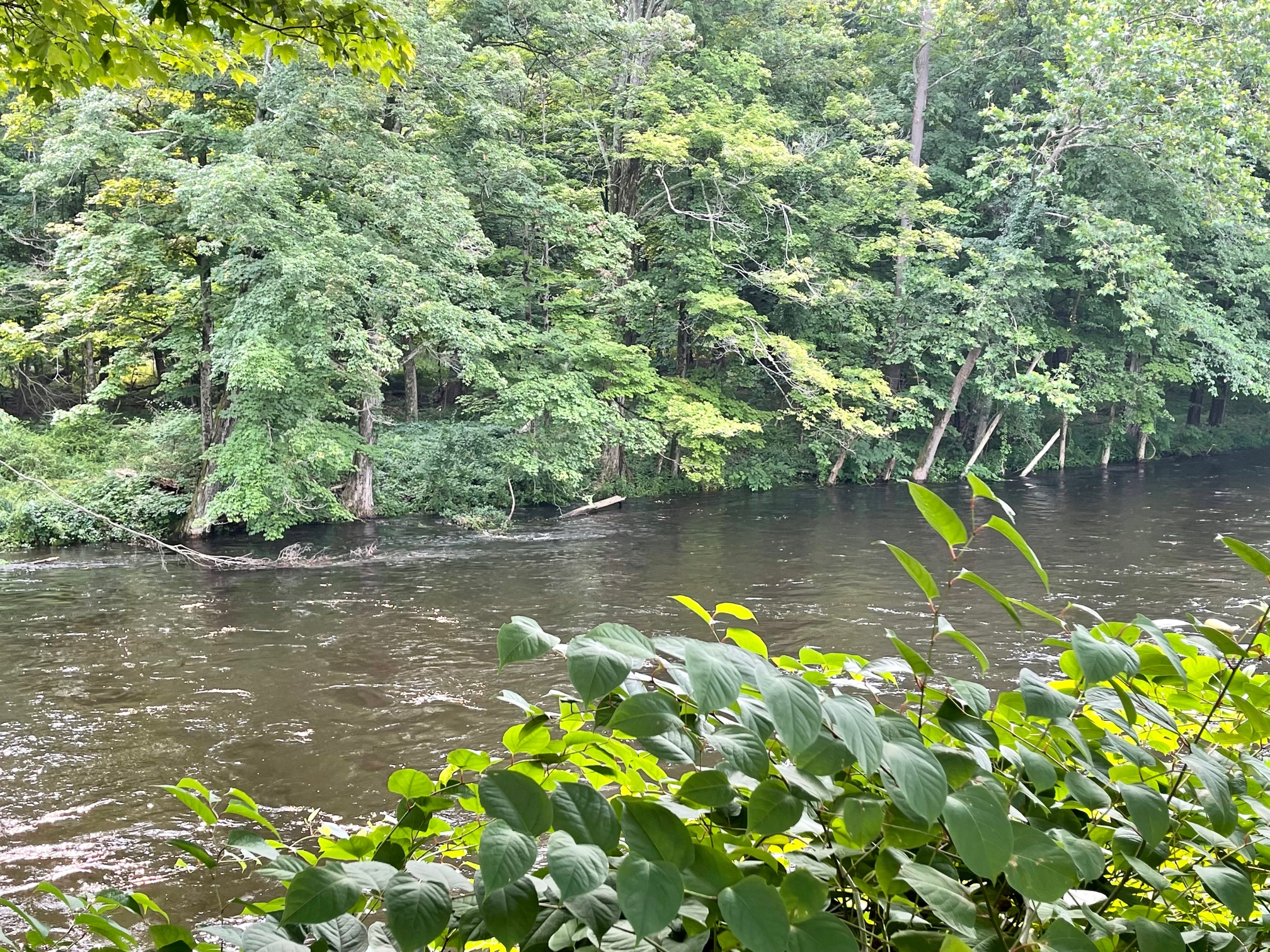 River Report Tuesday 7/20/21 Farmington River Report back to high