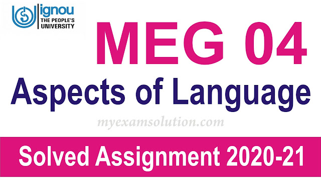 MEG 04 Aspects of Language Assignment; MEG 04 Aspects of Language ; MEG 04 Aspects of Language  2020-21