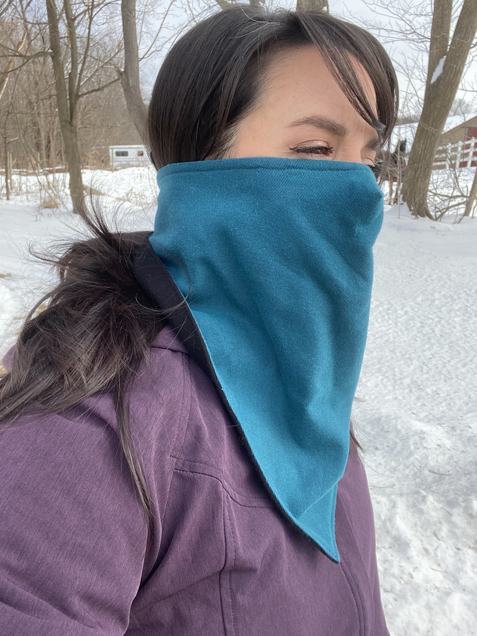 Cookin' & Craftin' DIY Mask/Neck Warmer