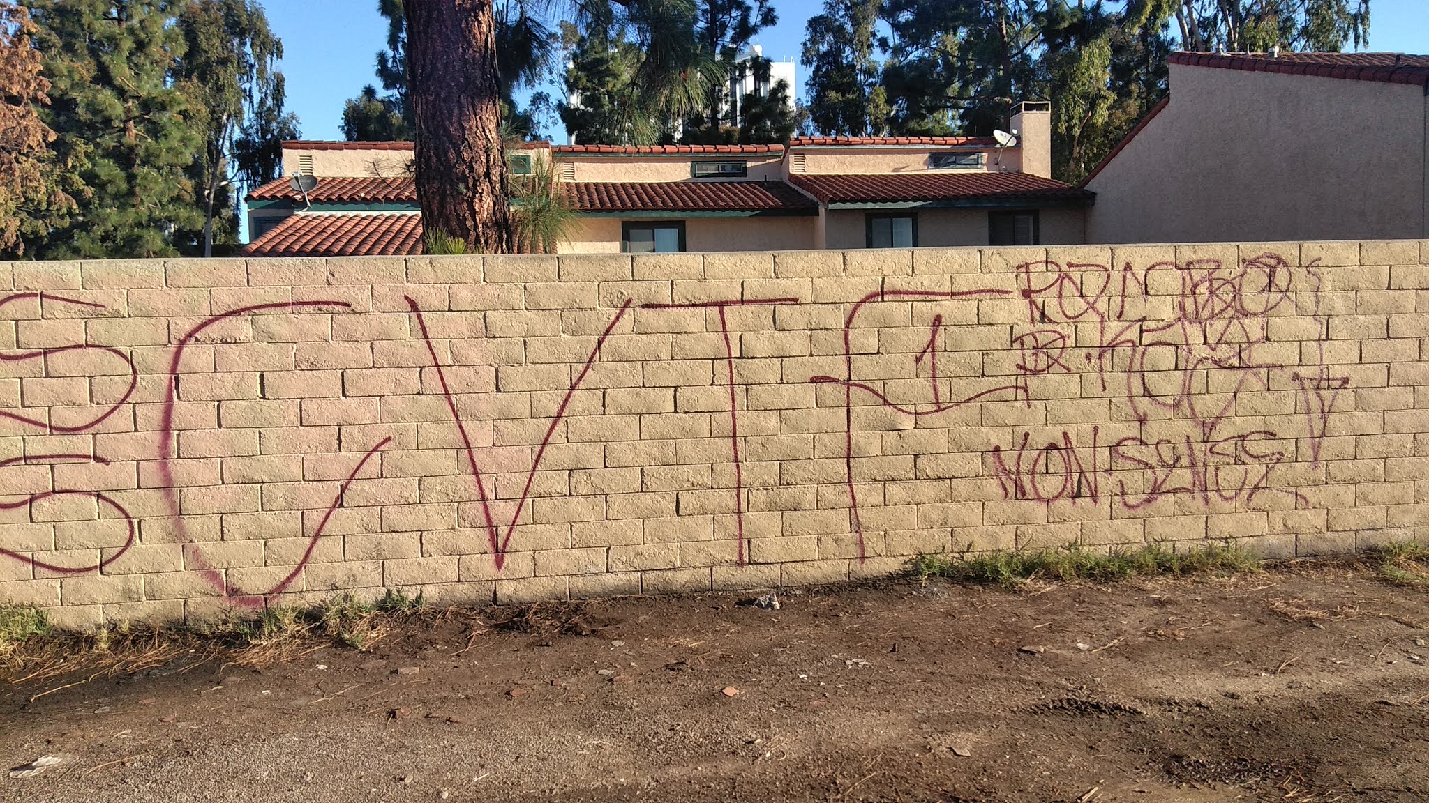 sureno 13 gangs graffiti Compton varrio tortilla flats 13 ( CVTF13 )