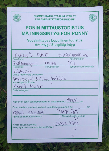 Vapaa musta kotitekoinen seksi nauhat