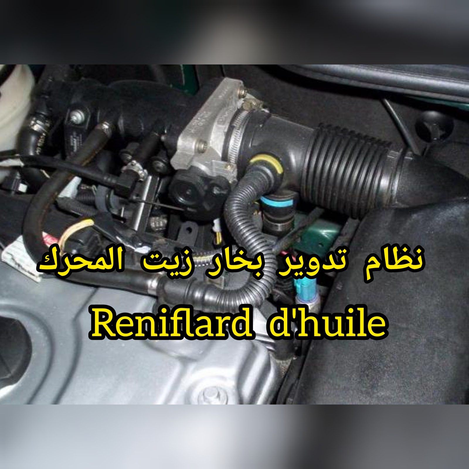 نظام تدوير بخار زيت المحرك reniflard d huile autobayad