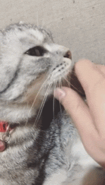 1-3.gif