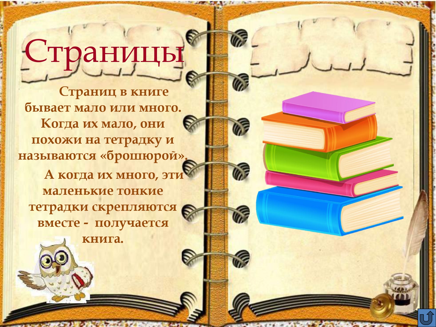фон книги. книга пятой дисциплины. книга для мокапа. технология. элементы книги для детей.