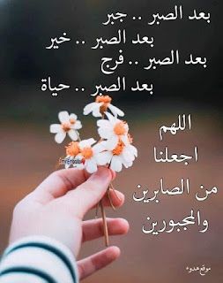صور جميلة, صور جميلة للفيس بوك, صور فيسبوك, صور