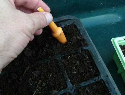 Using a dibber Green Fingered Blog