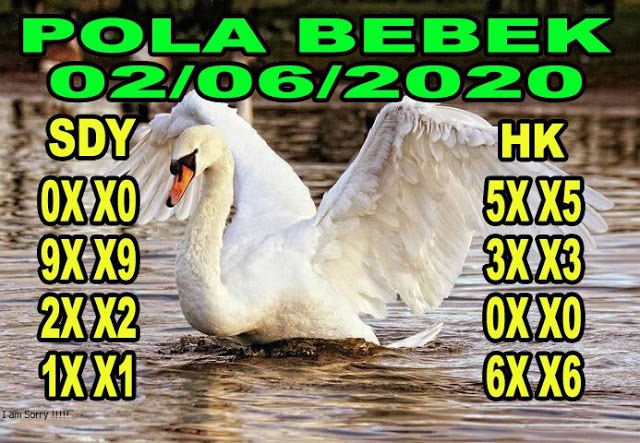 SYAIR TOGEL SYDNEY SELASA 02 JUNI 2020
