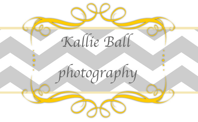 Kallie Ball Photography