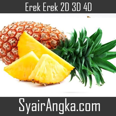 Erek Erek Nanas 2D 3D 4D Di Buku 1001 Mimpi - Syairangka.com
