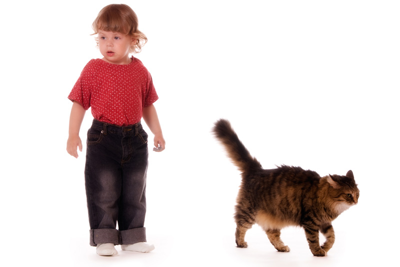 when can puppies be given away companion animal psychology the right to walk away when can puppies be given away companion animal psychology the right to walk away