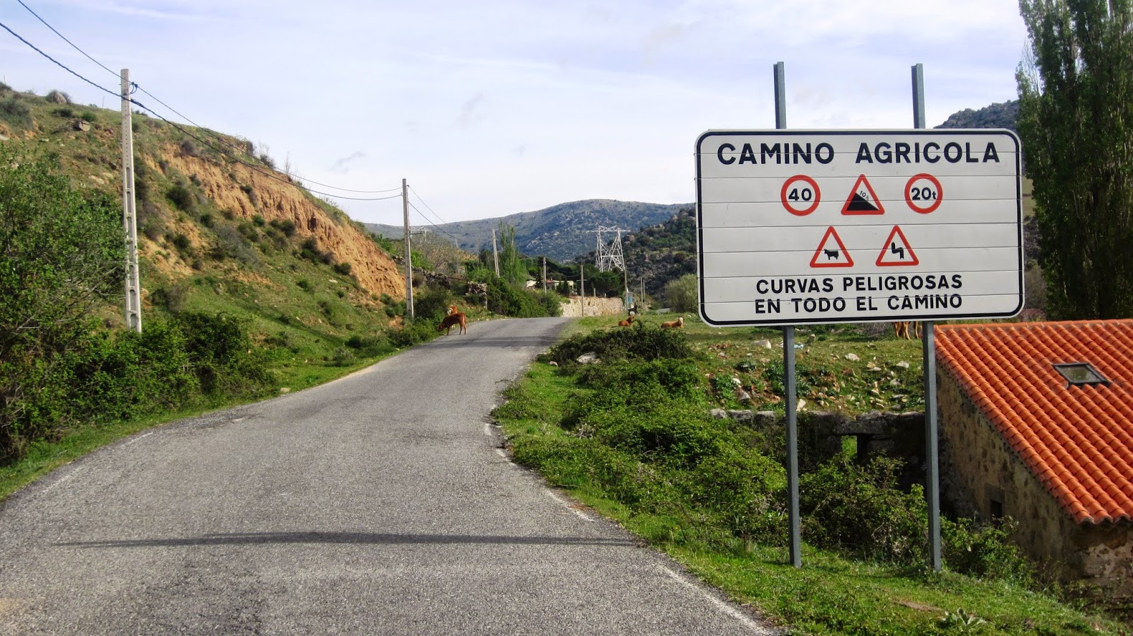 El Mediano