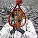 Chandrapur News: चंद्रपुरात शेतकरी आत्महत्यांचा वीस वर्षातील उच्चांक | बातमी एक्सप्रेस