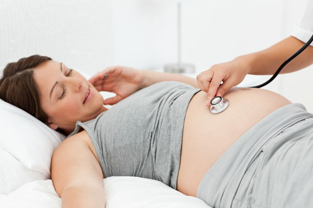 Memahami dan Mewaspadai Bahaya Toksoplasma pada Kehamilan
