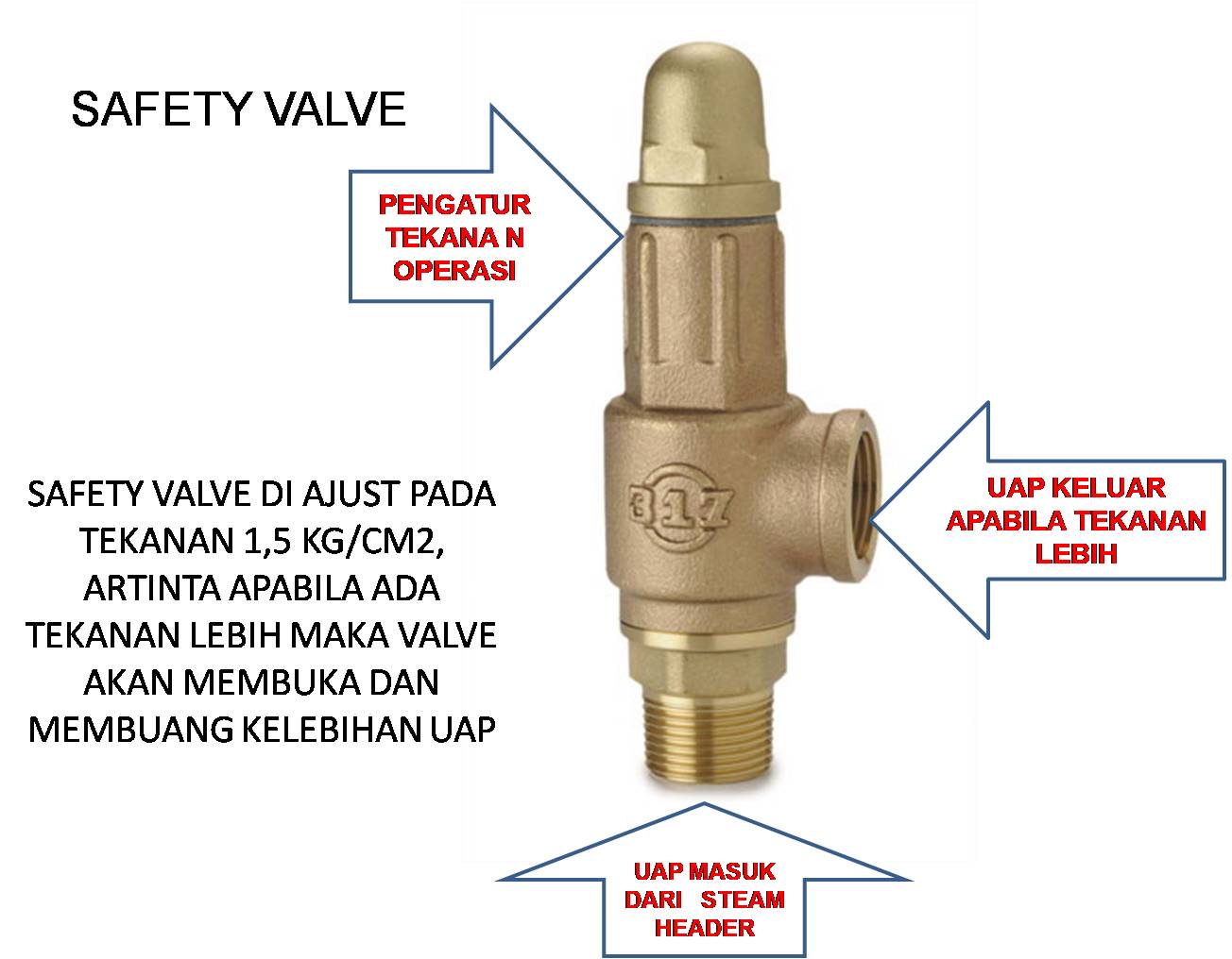 Для чего нужен предохранительный клапан. 1515098 Предохранительный клапан. Как работает предохранительный клапан. Предохранительный клапан 0816204. Предохранительный клапан синий.