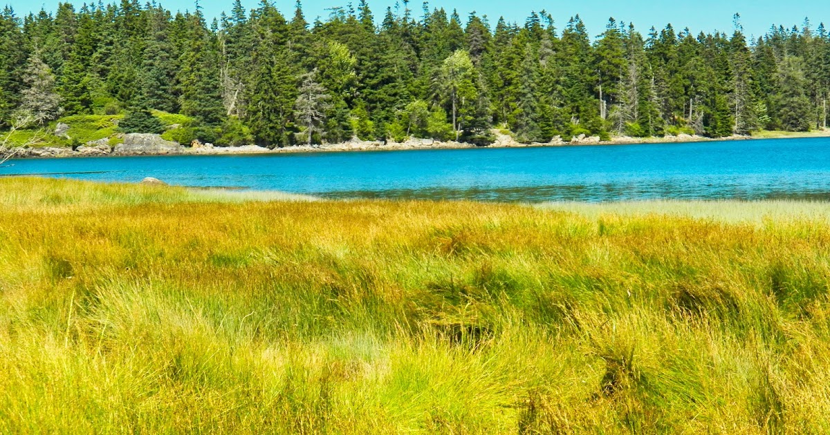 ABANDONED TRAILS OF ACADIA NATIONAL PARK SHIP HARBOR TO WONDERLAND