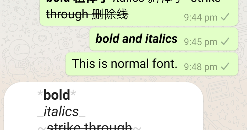WhatsApp tips: how to make the message text become bold, italics