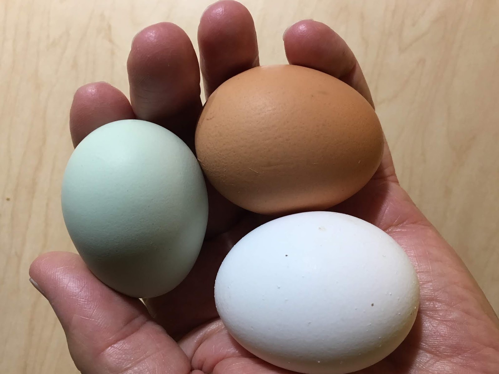 organicgreendoctor how long is a hardboiled egg good for