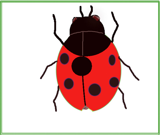 Featured image of post Ladybug Drawing Easy Lady bird drawing for kids