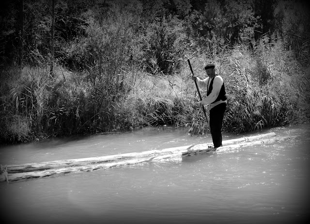 Ganchero bajado el río Tajo en un tronco