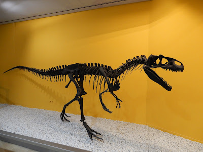 バレンシア自然史博物館(Natural Science Museum of Valencia) 恐竜模型
