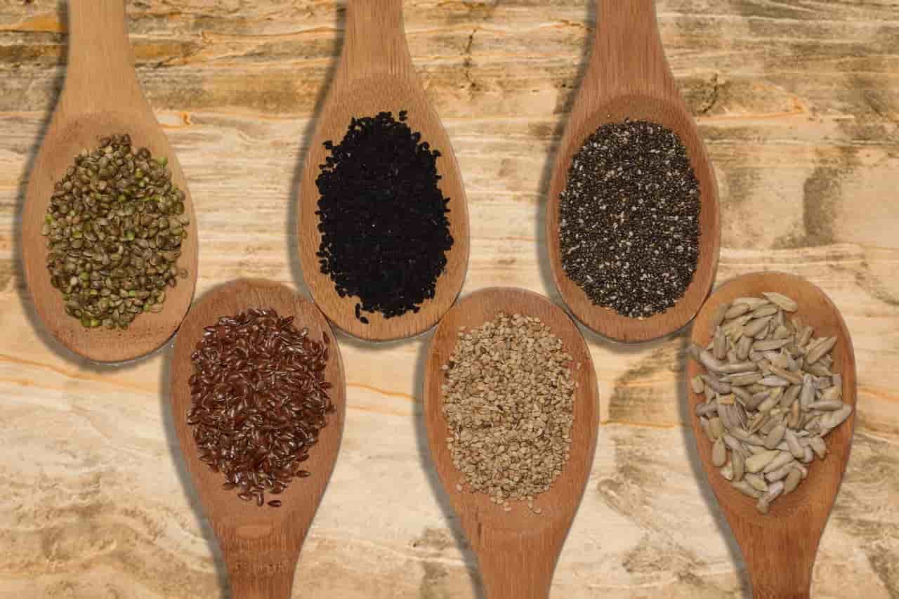 Are Sesame Bad For Dogs