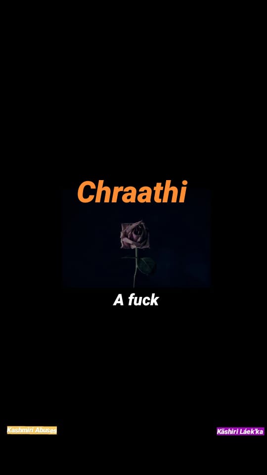 Top 60+ kashmiri curses,cuss words.Top kashmiri gaali.