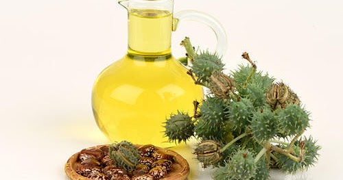 Castor Oil: The Natural Way to Have Glowing Beauty - mybeautysing