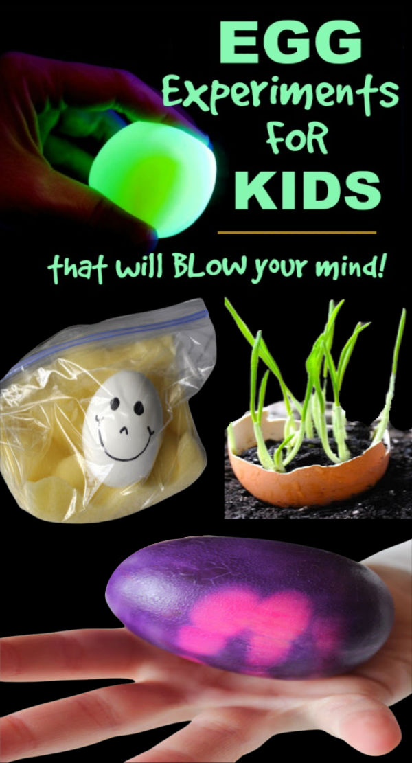 Show kids just how incredible the egg really is with these amazing science experiments! #eggexperimentsforkids #scienceexperimentskids #growingajeweledrose #activitiesforkids