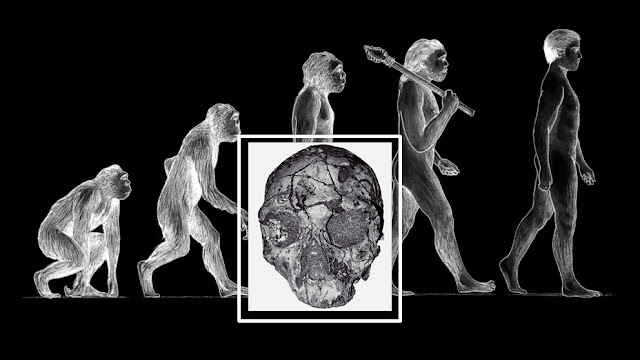 Crânio de Homo Sapiens, Homo Sapiens, Apidima, Homo Sapiens na Grécia, Descobertas Históricas