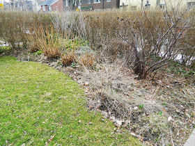 Roxborough West spring cleanup before Paul Jung Gardening Services Toronto