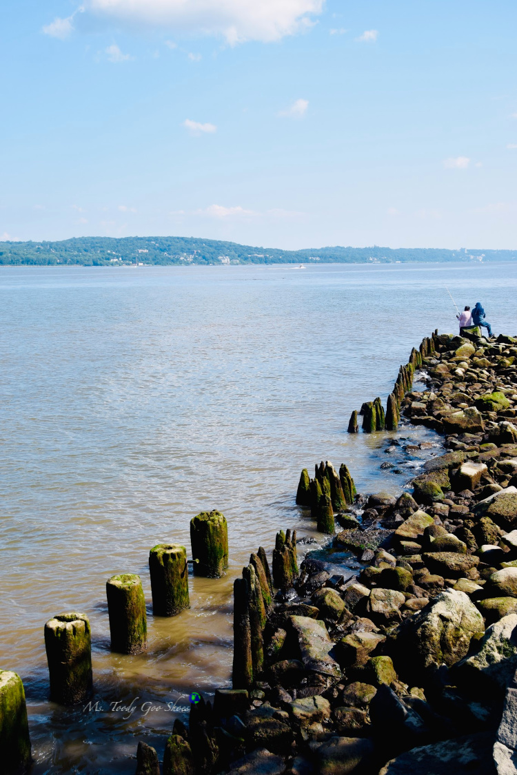 Ms. Toody Goo Shoes PIERMONT PIER A QUARANTINE DISCOVERY