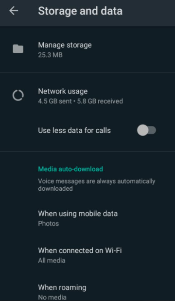 Whatsapp Storage & Data