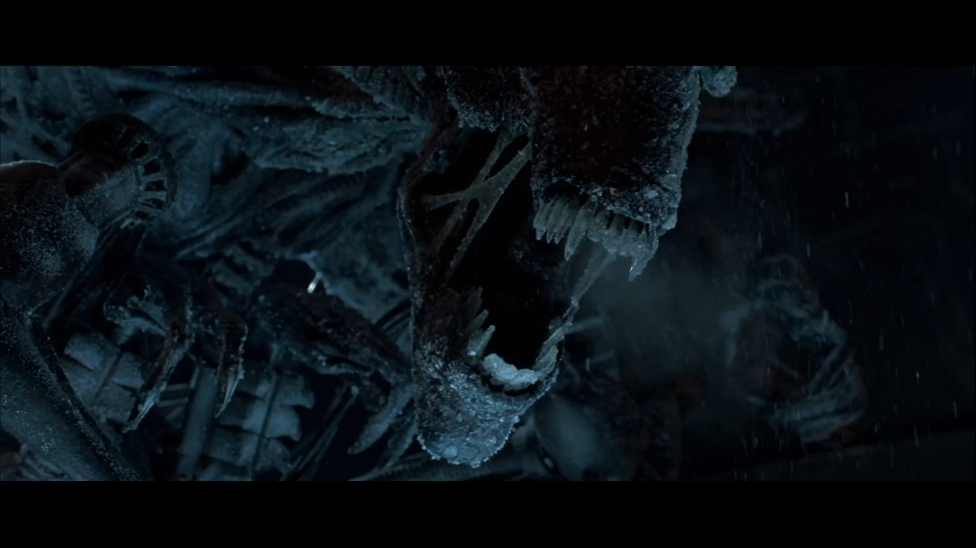 download alien vs predator 2004 download alien vs predator 2004