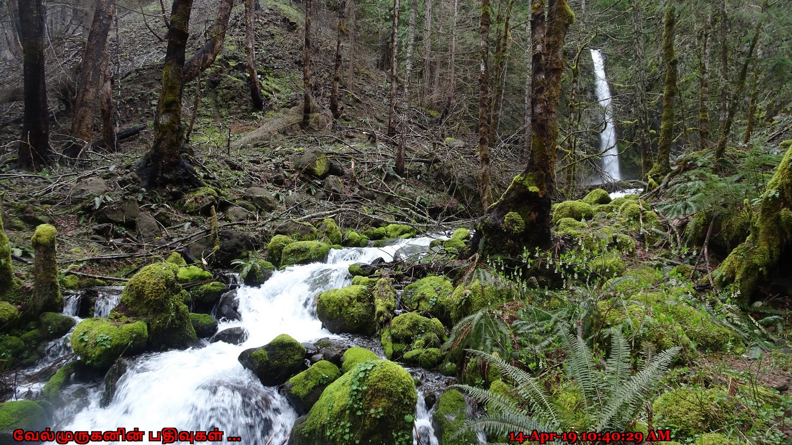 Dry Creek Falls Oregon Exploring My Life